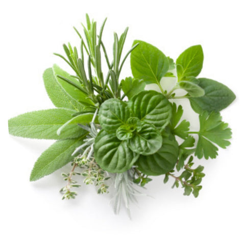 Salad, Herbs & Live Greens