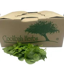 Spinach Loose 1.5kg - Box - The Original Organic Company