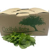 Spinach Loose 1.5kg - Box - The Original Organic Company