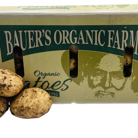 Potatoes Sebago 20kg – Box