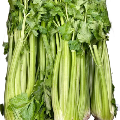 Celery Box – 8/Box - The Original Organic Company