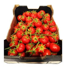 Tomato Truss 5kg - Box