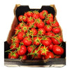 Tomato Truss 5kg - Box