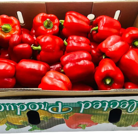 Capsicum Red 5kg – Box