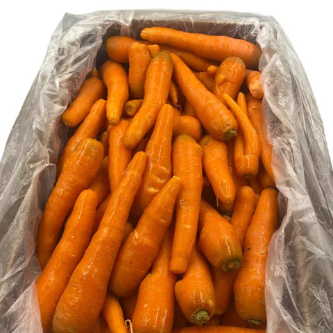 Carrots Juicing 18kg – Box