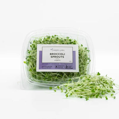 Broccoli Sprouts 50g – Punnet