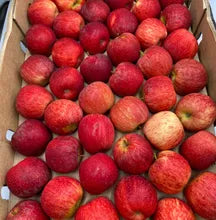 Apple Gala 8kg  - Box