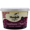 Davidson’s Plum Yoghurt - 500g