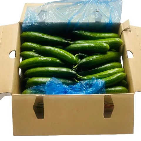 Cucumber Lebanese 10kg – Box