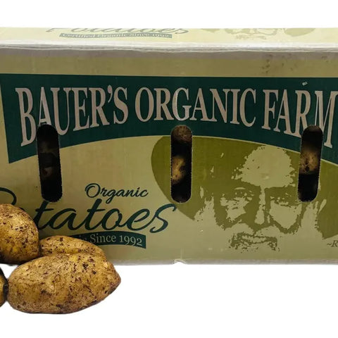 Potatoes Dutch Cream 20kg  – Box