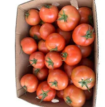 Tomato Gourmet 10kg - Box