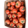 Tomato Gourmet 10kg - Box