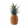 Pineapple Certified Organic - The Original Organic Company