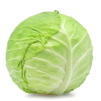 Cabbage - Green Certified Organic - The Original Organic Company