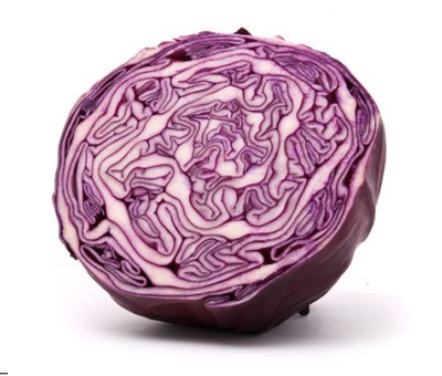 Cabbage - Red Certified Organic - The Original Organic Company