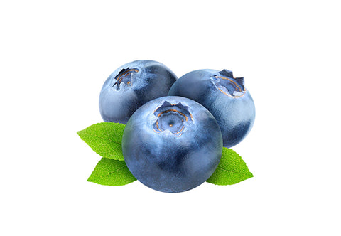 Blueberries - Certified Organic 120g Punnet - The Original Organic Company