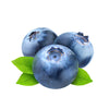 Blueberries - Certified Organic 120g Punnet - The Original Organic Company