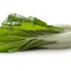 Bok Choy (White Stem) Certified Organic - The Original Organic Company