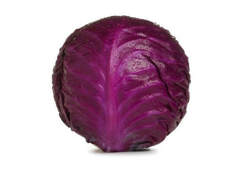 Cabbage - Red Certified Organic - The Original Organic Company