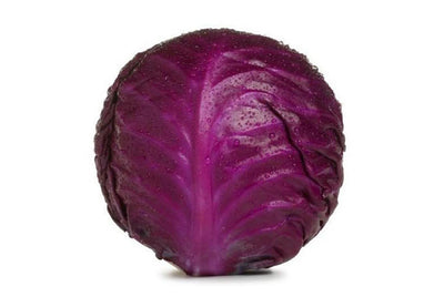 Cabbage - Red Certified Organic - The Original Organic Company