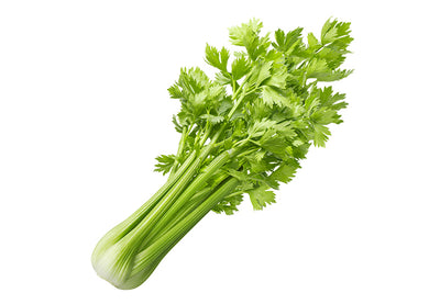 Celery Certified Organic **SPECIAL** - The Original Organic Company