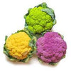 Cauliflower - Coloured - Each