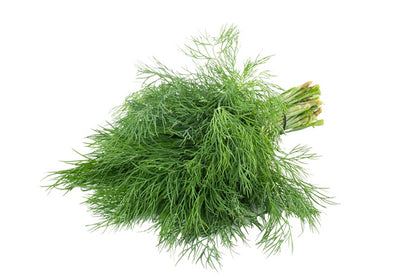 Fennel Certified Organic - The Original Organic Company