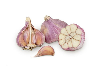 Garlic (Russian) Certified Organic - The Original Organic Company