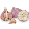 Garlic (Russian) Certified Organic - The Original Organic Company