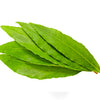Bay Leaves Certified Organic - The Original Organic Company