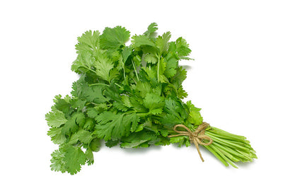 Coriander Certified Organic - The Original Organic Company