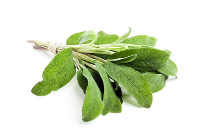 Sage Certified Organic - The Original Organic Company