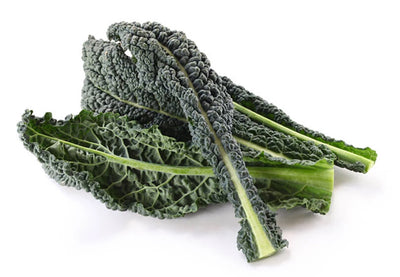 Tuscan Kale Certified Organic - The Original Organic Company