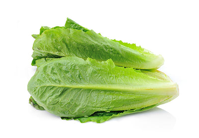 Lettuce Cos Certified Organic - The Original Organic Company