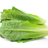 Lettuce Cos Certified Organic - The Original Organic Company
