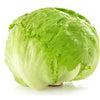 Lettuce - Iceberg Certified Organic - The Original Organic Company