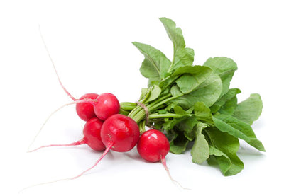 Radish Certified Organic - The Original Organic Company
