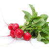 Radish Certified Organic - The Original Organic Company