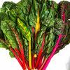 Rainbow Chard Certified Organic - The Original Organic Company