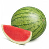 Mini Watermelon Certified Organic - Each - The Original Organic Company